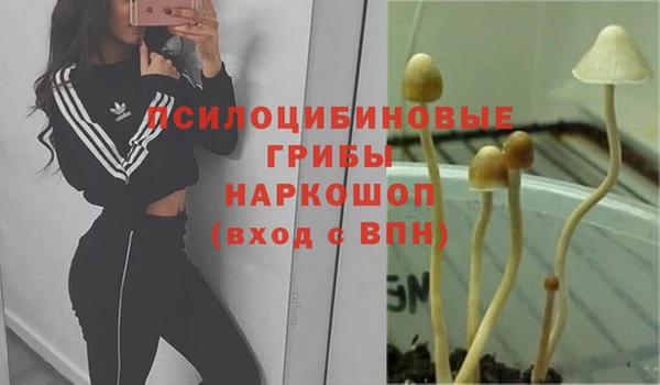 не бодяженный Надым
