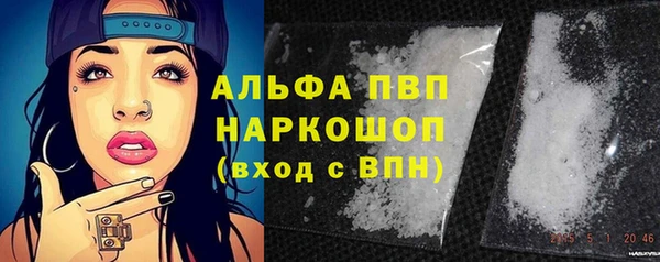 сатива Алексин